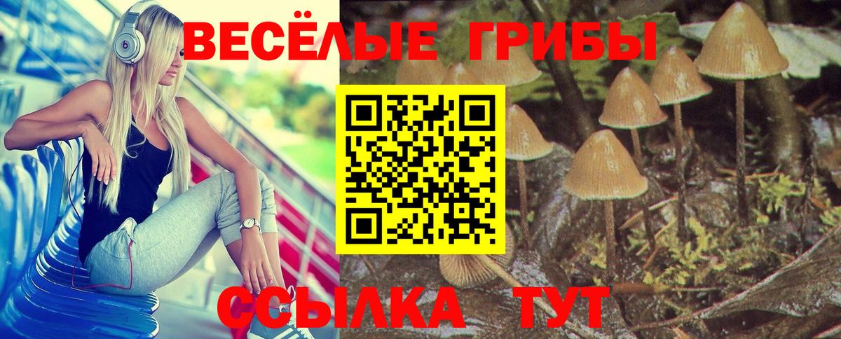 Галлюциногенные грибы Magic Shrooms Тюмень