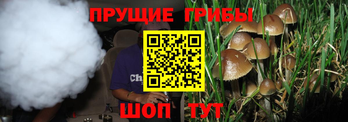 Псилоцибиновые грибы прущие грибы  Вход с VPN  наркота  Тюмень 